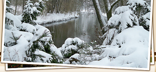 Biberhof im Spreewald