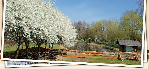 Biberhof im Spreewald