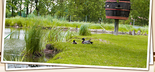 Biberhof im Spreewald