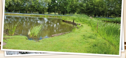 Biberhof im Spreewald