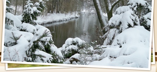 Biberhof im Spreewald