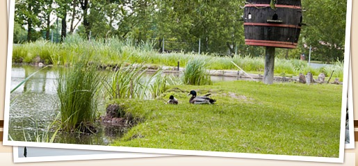 Biberhof im Spreewald