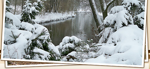 Biberhof im Spreewald